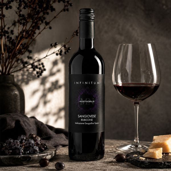 Вино Infinitum Sangiovese Rubicone червоне сухе 12% 0,75 л Італія 1080940 фото