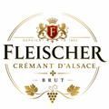Fleischer